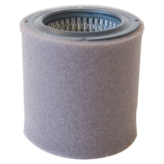 FS-19P Filter Element 